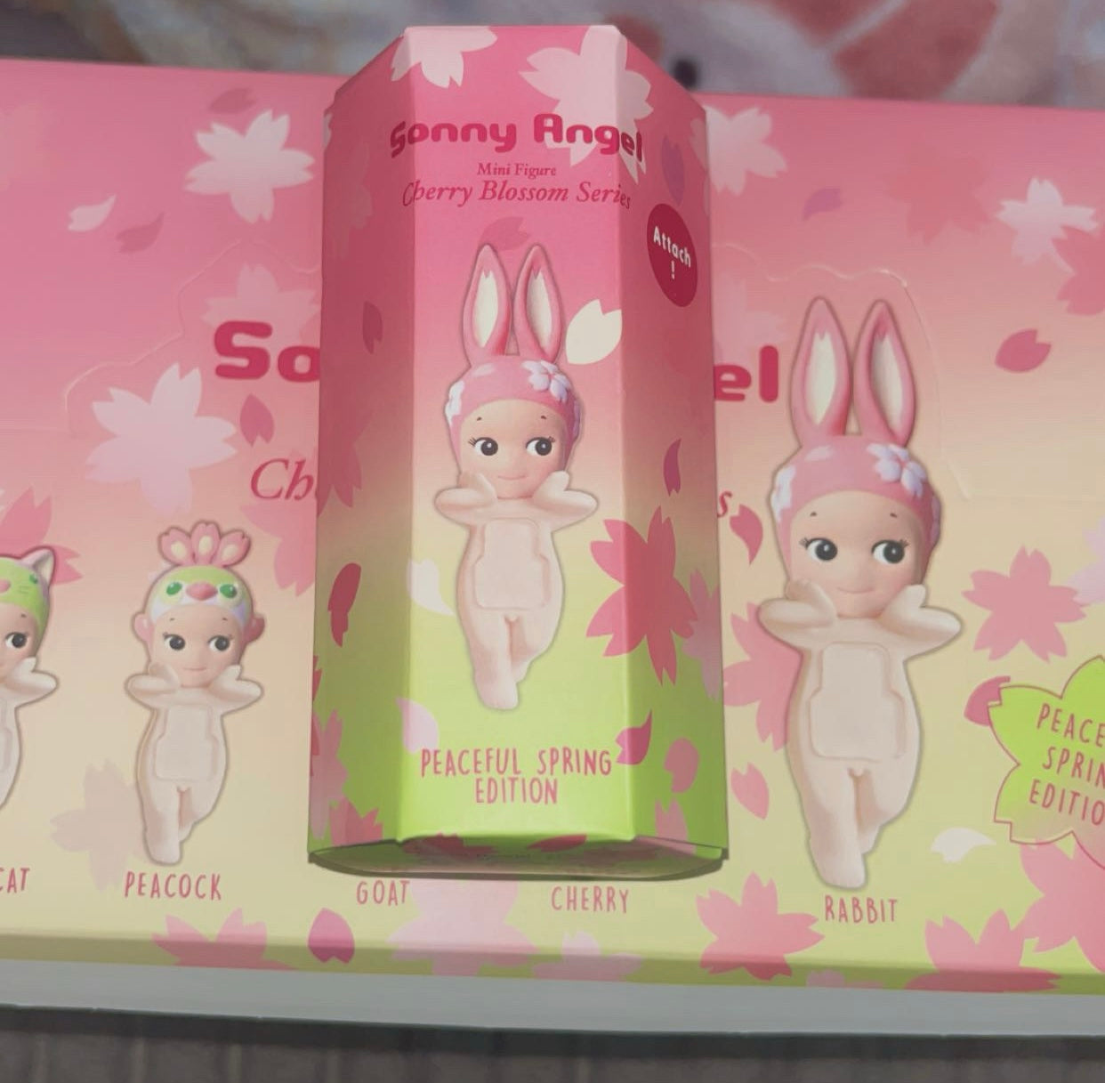 Sonny Angels
